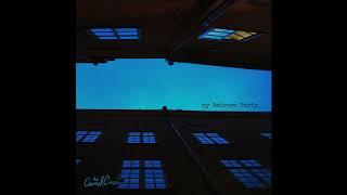 the Camel Case - Seize