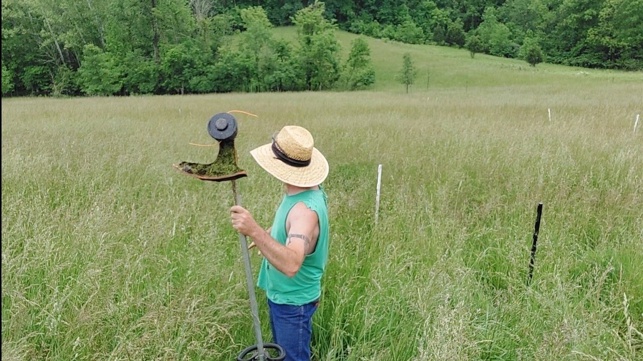 rotational grazing, electric fences, kiko goats YouTube