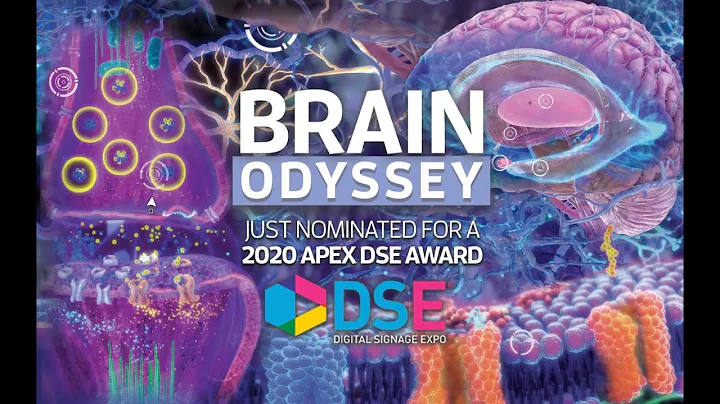 Brain Odyssey - An Immersive Journey Into the Human Brain