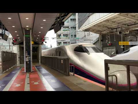 東京駅 東北新幹線E2系やまびこ 山形新幹線E3系つばさ