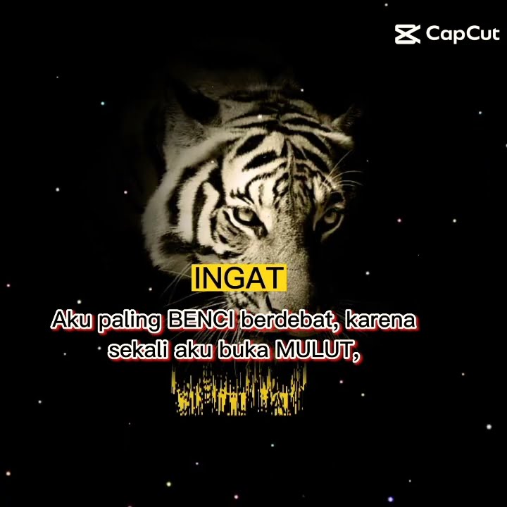 kata kata seorang pendiam #harimauputih #jedagjedug #pemarah #jedagjedug