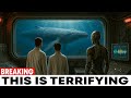 Whale Language Decoded by AI — The Truth Will Shock You