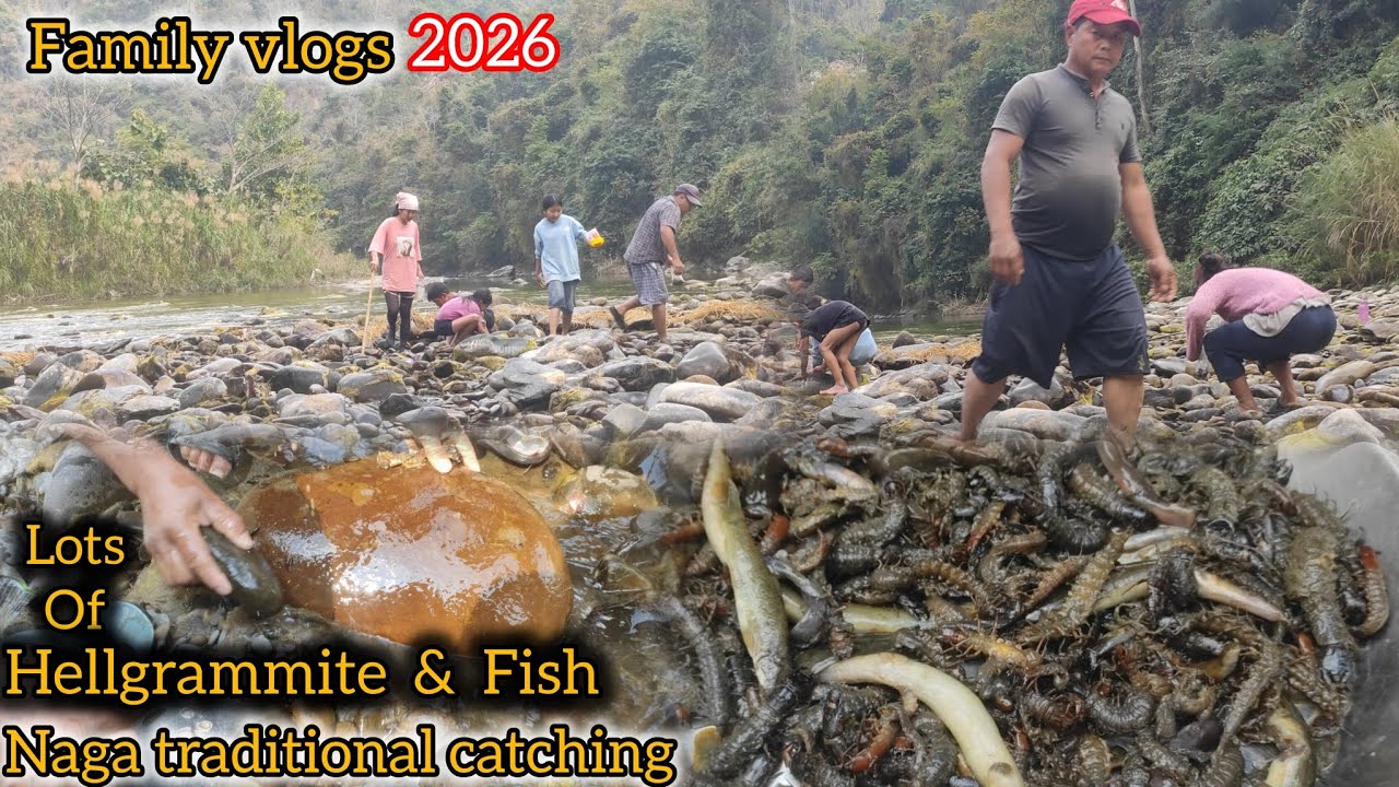 catching Lots of Hellgrammite & Local fish(Amusa//Alaza) Family's vlogs 2026