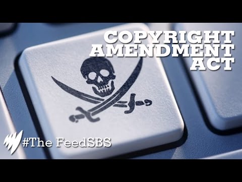 the feed contains test content Will the Copyright Amendment Bill actually work? I The Feed