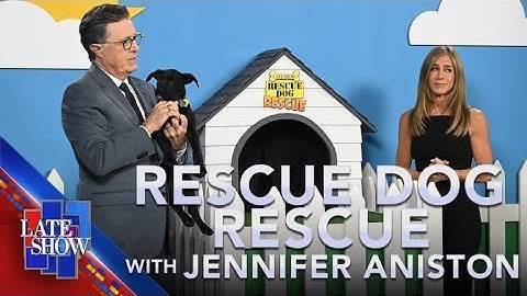 Rescue Dog Rescue with Jennifer Aniston