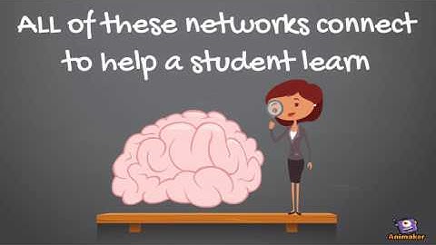 Learner Variability and UDL Principles