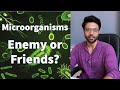 Microorganisms - Enemy or Friends for Human Health?