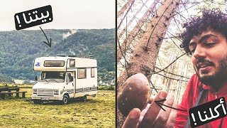 حياتنا في غابات التشيك تخييم في كرفان, اكل نباتات برية || VAN LIFE IN THE CZECH FOREST