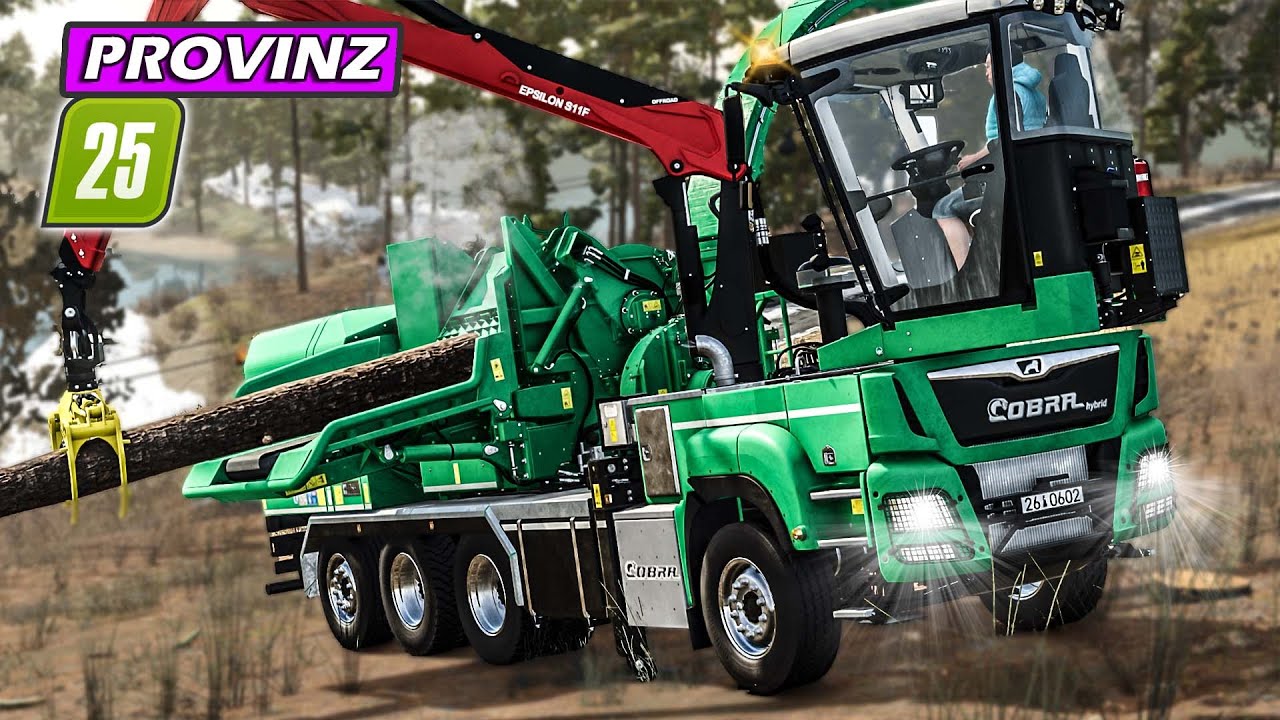 激レア　truck furniture dressen トラックファーニチャー LS25: WALDRODUNG: JENZ Holzhäcksler im Dauereinsatz | PROVINZ #9