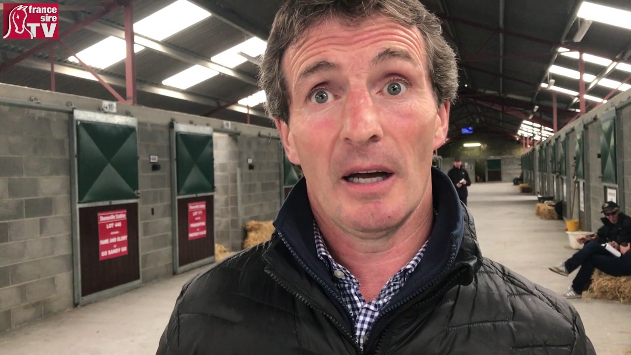 Derby Sale 2017 Norman Williamson Oak Tree Farm Vendeur Des Lots 62 Et 159 Youtube