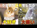 うさぎの態度でわかるあなたとの関係