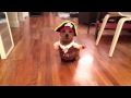 Yo ho yo ho norfolk terrier pirate dog