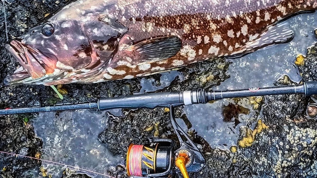 Este PEZ pone al LÍMITE esta Caña. Pesca Spinning Islas Canarias.