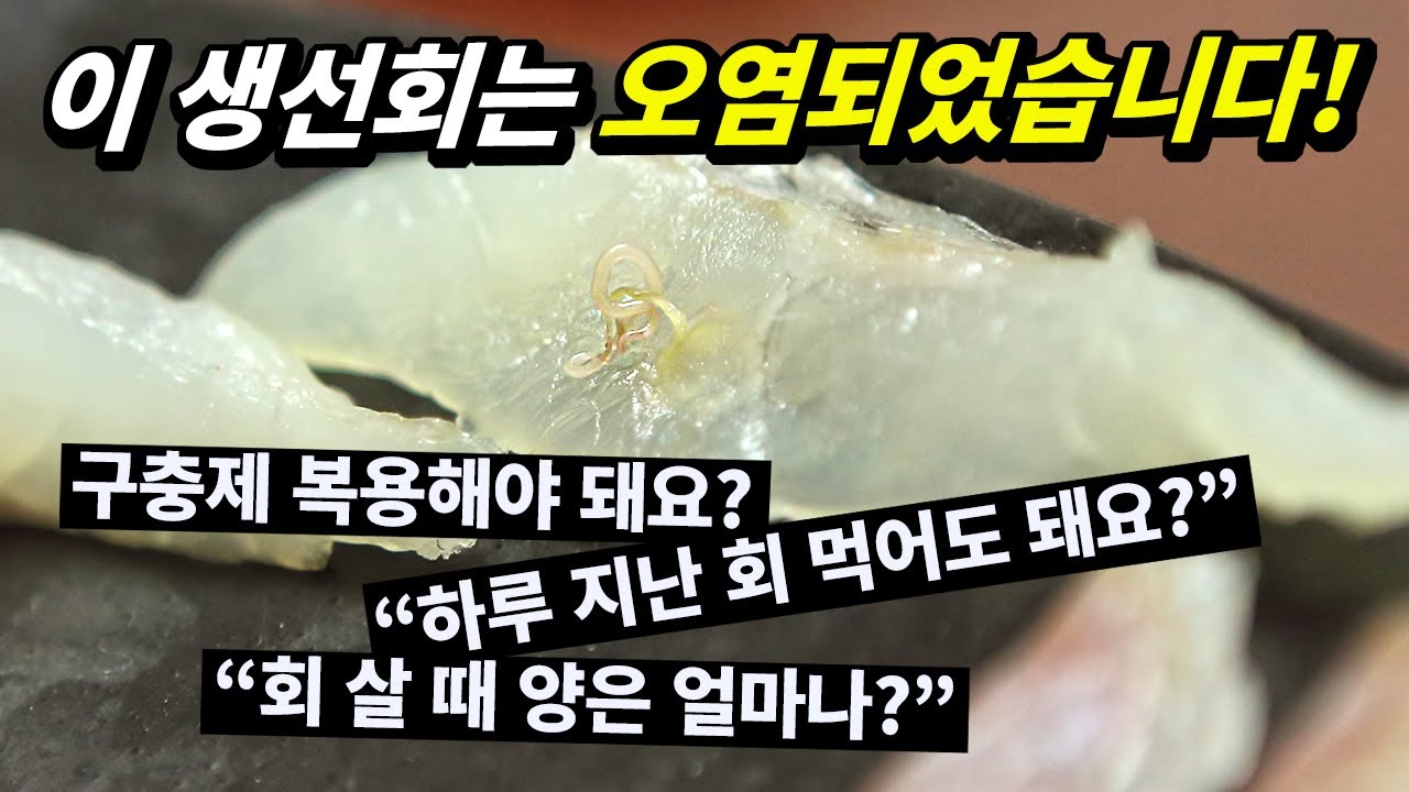 생선회를 먹기 전에 알아두면 좋은 상식 5가지!