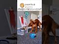 犬の驚くべきトレーニング