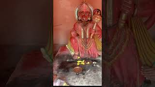 jai hanumant #song #cover #tseries #mypug #hanumanbhajan #dance #bolleywoodsong #hindudevotional