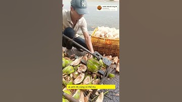 dụng cụ lột dừa khô cực nhanh #garden #videoviral