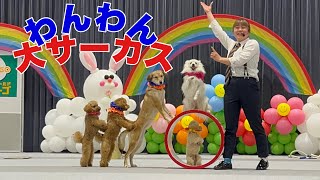 わんわん大サーカスin福島(郡山市)