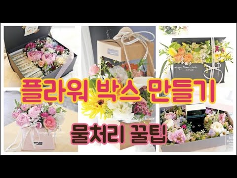 꿀tip★ 플라워박스 물처리 방법 / 플라워박스 만들기 / 여러가지 플라워박스 소개해요! / #무료꽃강의 #플라워박스 #햇박스