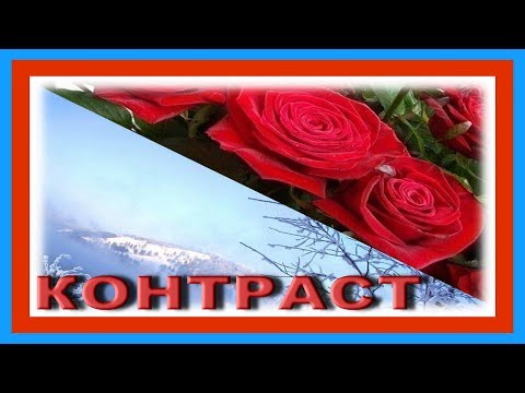 Контраст ЗИМЫ и