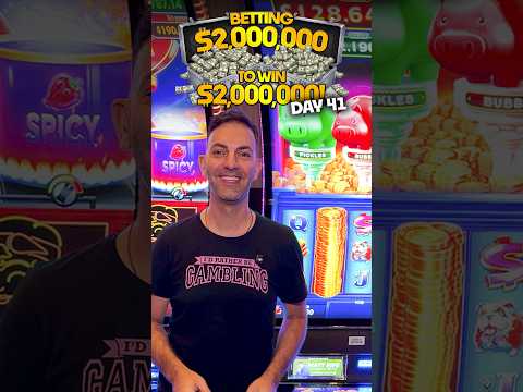 If you can lose on it you can WIN on it!! 🤑 Day 41 Highlights: Betting $2M to WIN $2M