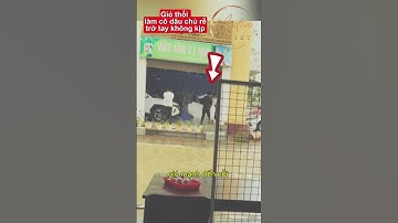 Đám cưới mùa mưa bão cô dâu chú rễ trở tay không kịp