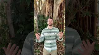 The Worldview of Thomas Berry Course with the Deeptime Network, 2025