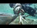 UNA CENA DA RE........  PESCA IN APNEA  SPEARFISHING