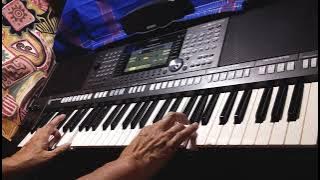 尋夢園 Dream Seeking Garden played on Yamaha PSR-S970 by Holmes #189
