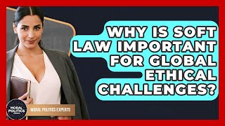 Why Is Soft Law Important For Global Ethical Challenges? - Moral Politics Experts screenshot 5