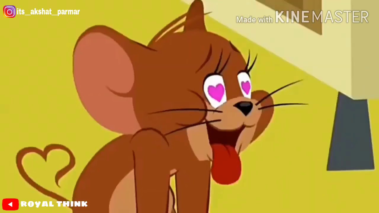 Tom and Jerry song whatsapp status royal think YouTube