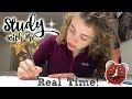 Study with Me: Real Time. 📚 // Motivation for Easter Holidays 2018 x
