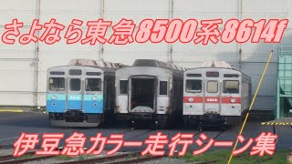 【さよなら伊豆急カラー】 東急田園都市線8500系8614F「伊豆のなつ号」走行シーン集 2020.6