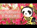 【pandasanの不思議な休日】出逢った事、ありますか？