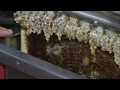 Станок автоматический для распечатки медовых сотов, видео отзыв