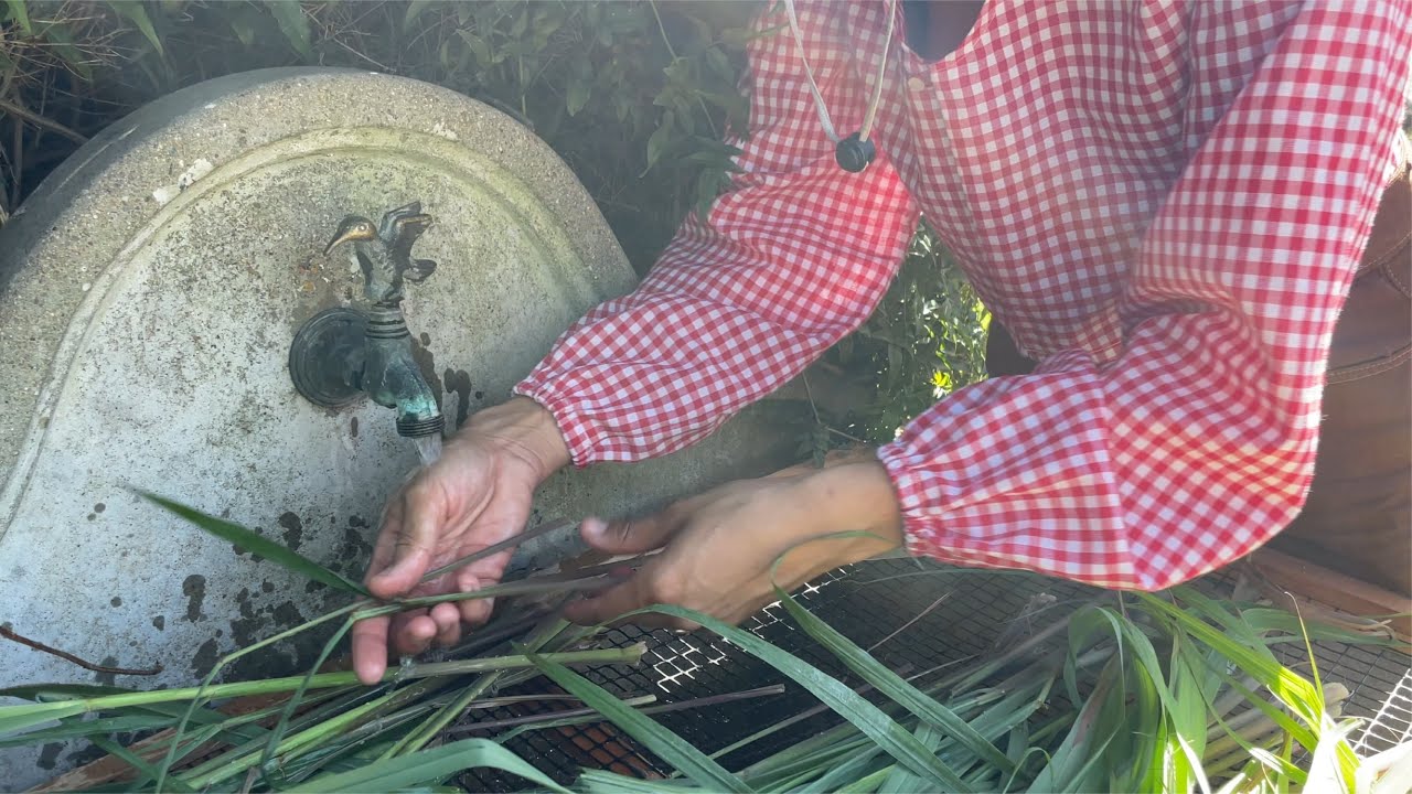 COSECHA DE ALGODÓN | destilación de lemongrass y almuerzo plant based | slow life routine