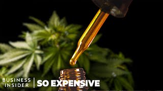 Why Full-Spectrum CBD Oil is So Expensive | So Expensive