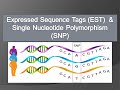 Expressed sequence tags est and single nucleotide polymorphism snp