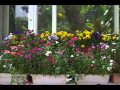 愛知県豊田市鞍が池公園 の動画、YouTube動画。