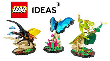 LEGO IDEAS Die Insektensammlung (21342) - Speed build