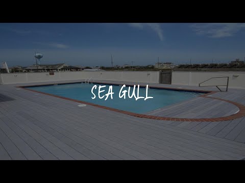 Sea Gull Review - Buxton , United States of America