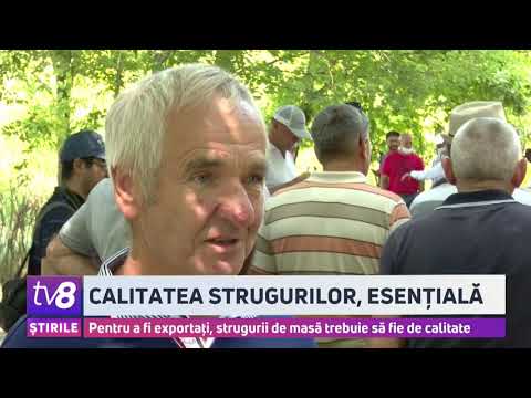 Video: Salată Caldă Cu Vițel și Struguri