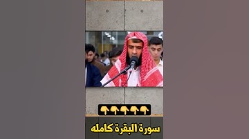 صوت مميز ورائع 📢سورة البقرة كامله بصوت القاريء  رزكار الكردي #quran #سورة_البقرة#الرقية_الشرعية