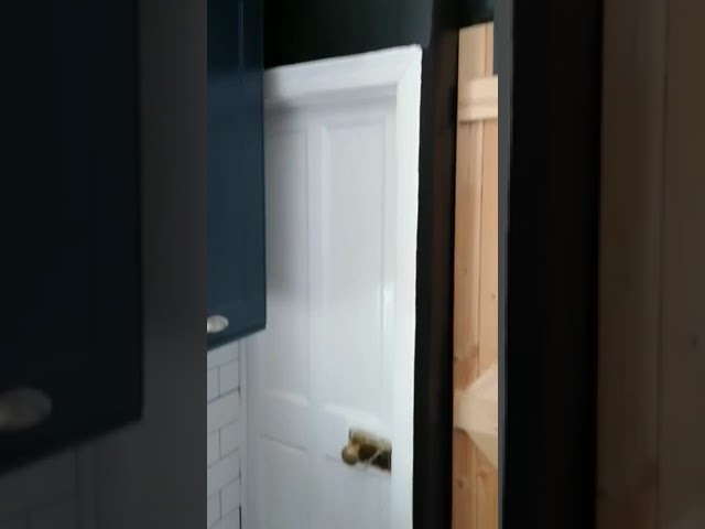 Video 1: