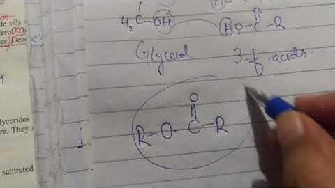 Lipids/Fats-Sources and Uses of Lipids|| Unit 13 Biochemistry|10th Chemistry