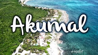 Akumal, qué hacer y cómo nadar con las tortugas