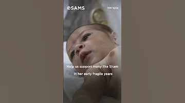 Sham S Success Story NW Syria 