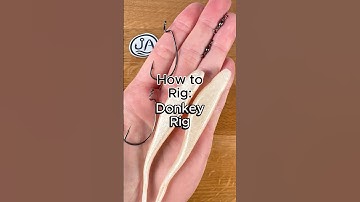How to rig a Donkey Rig / Tandem Rig #fishing #bassfishing #fishingtips