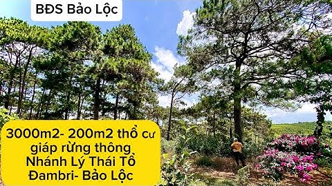 Vườn cây ăn trái 3000m2/200m2 thổ cư/ nhiều mặt tiền/ Đambri- Bảo Lộc/zalo: 0349663521#datbaoloc