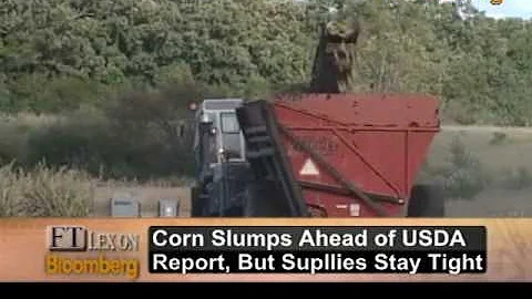 FT's Lex Columnist Allison on Agricultural Commodi...